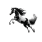 Baby Body Irish Tinker Horse