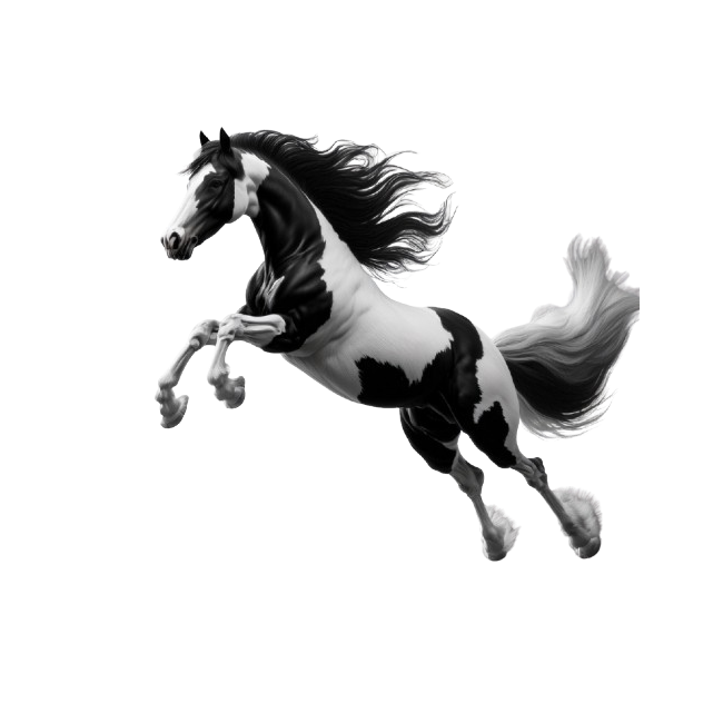 Baby Body Irish Tinker Horse