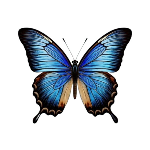Baby Body realistischer Schmetterling