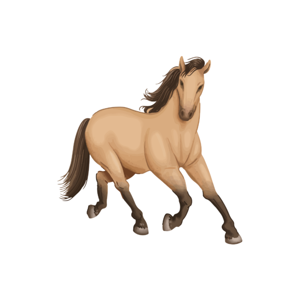 Baby Body watercolor realistic Horse Bella