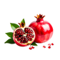 Turnbeutel Comic Granatapfel