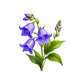 Turnbeutel wunderschöne realistische Blauglöckchen 3