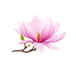 Turnbeutel wunderschöne realistische Magnolie 2